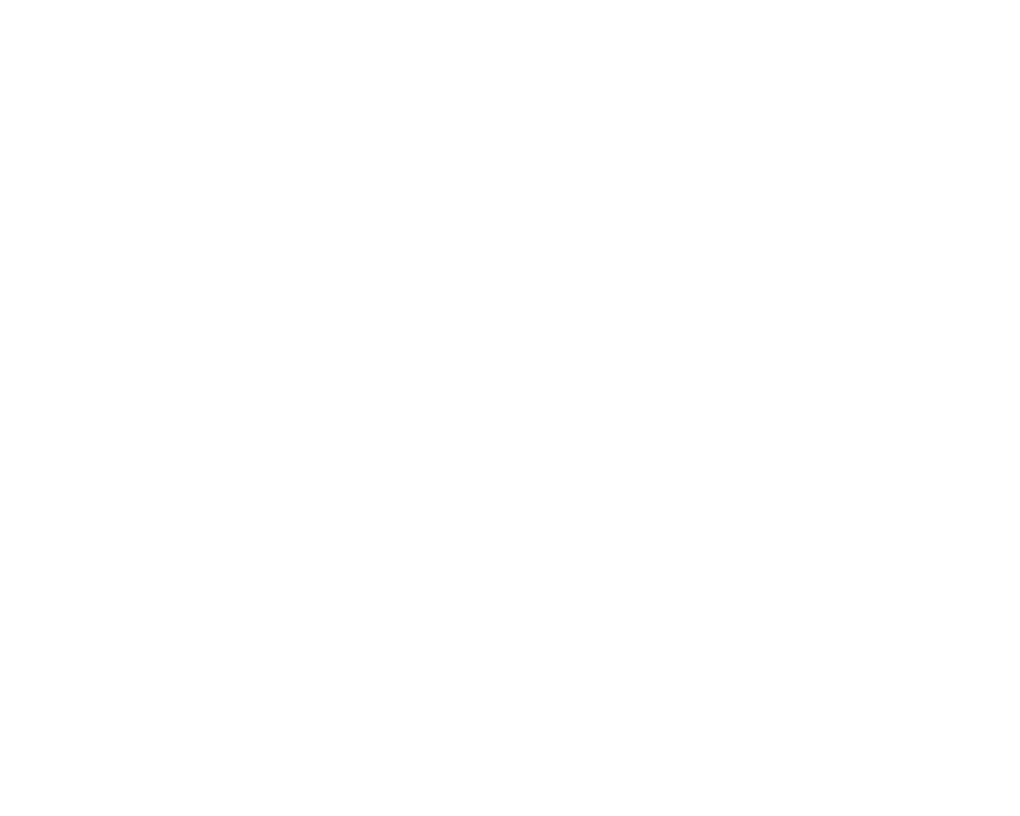 Partnerzy